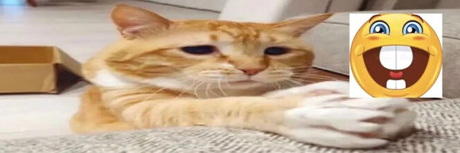 i will block and soft block if i dislike you/ smth u said, its not personal... most times